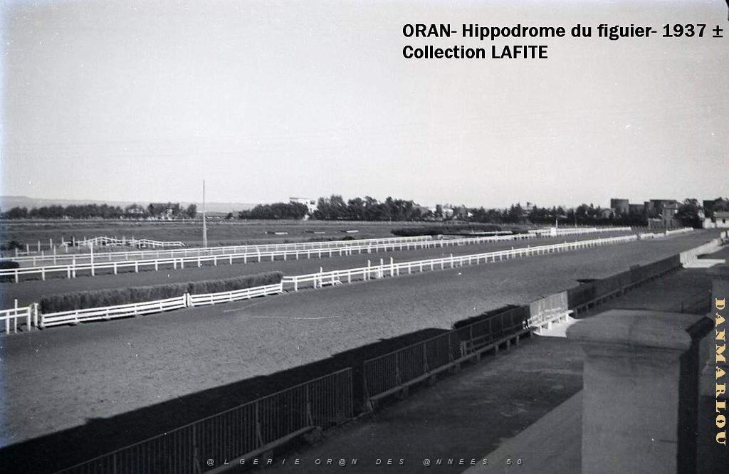ORAN 1937 HYPPODROME DU FIGIER    (10).jpg